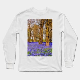 Bluebell Woods Greys Court England UK Long Sleeve T-Shirt